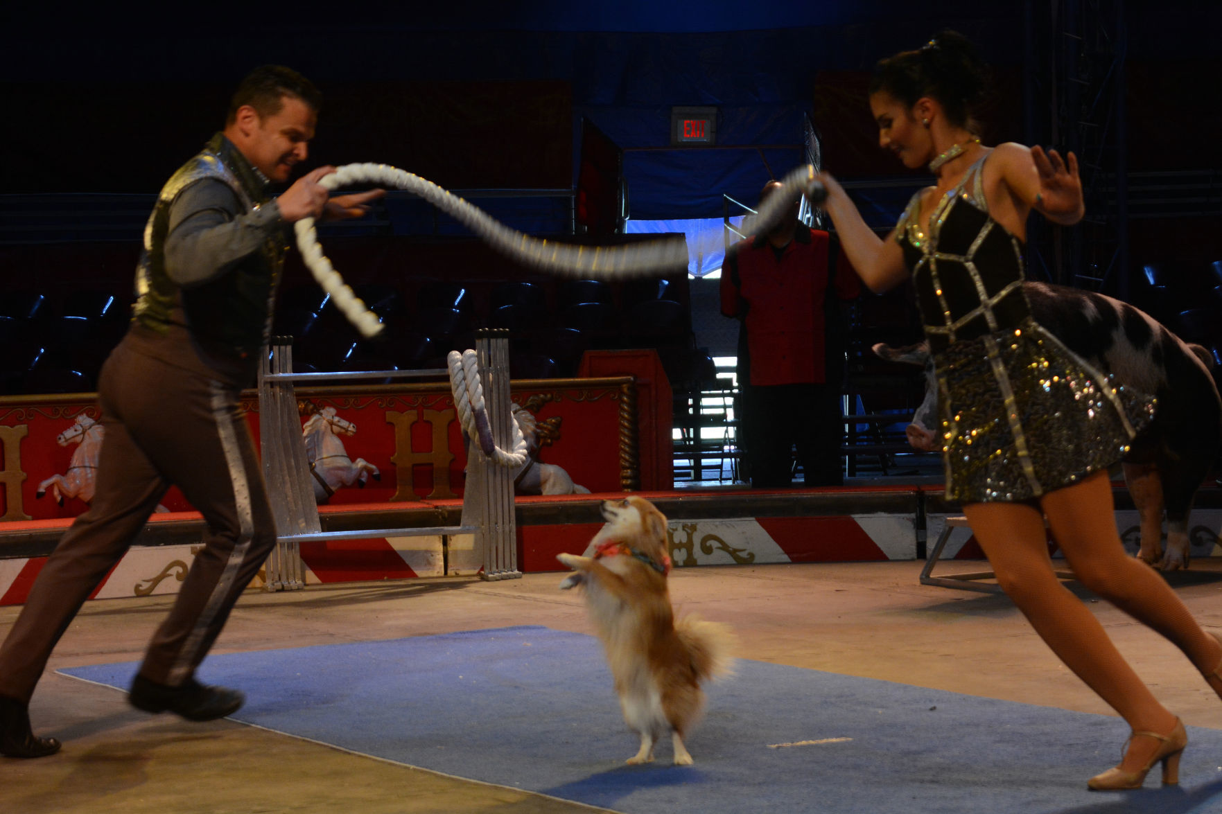 051918-bara-news-circus8